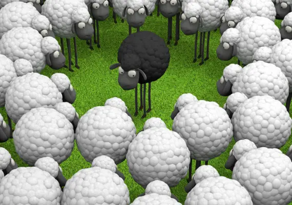 schwarzen-schafe-arbeit-versus-sonne